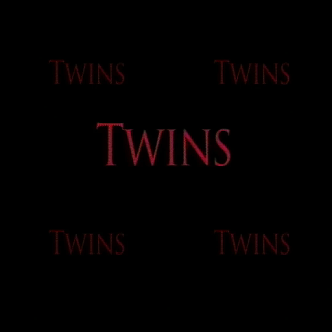 Torn Hawk - Twins