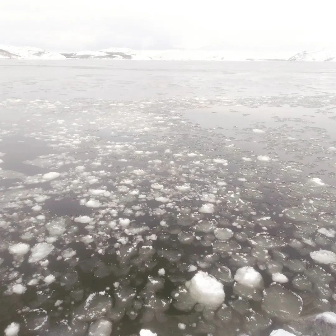 Seashell - Kirkenes, Norway, Barents Sea, field recording